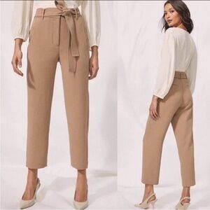 Aritzia Wilfred Jallade High Rise Tie-Front Crepe Pant in Roebuck Tan Taupe -10